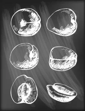 Apricots Stock Illustration