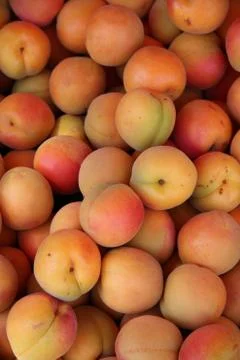 Apricots Foto stock