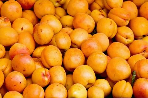 Apricots Stock Photos