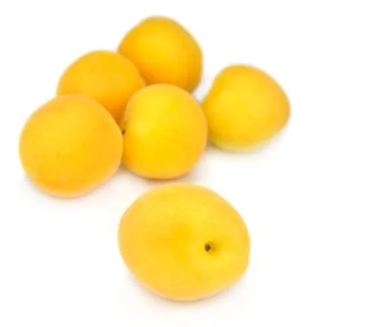 Apricots Stock Photos