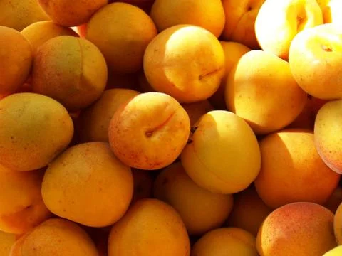Apricots Stock Photos