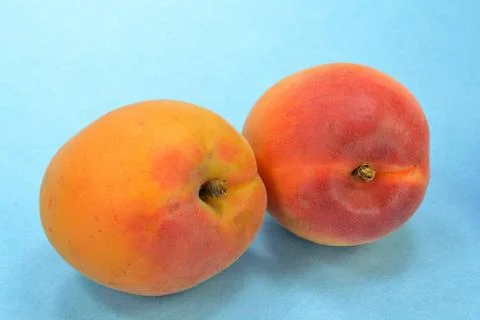 Apricots Stock Photos