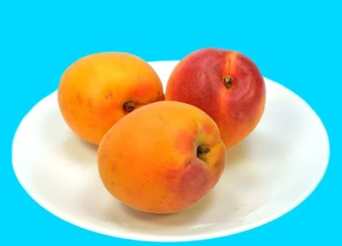 Apricots Stock Photos