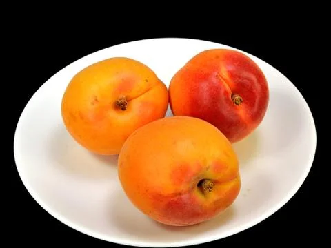 Apricots Stock Photos