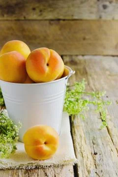 Apricots Stock Photos