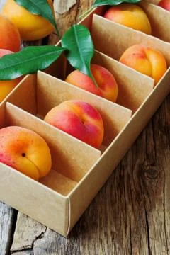 Apricots Stock Photos
