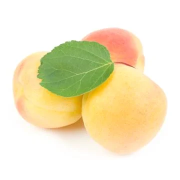 Apricots. Stock Photos