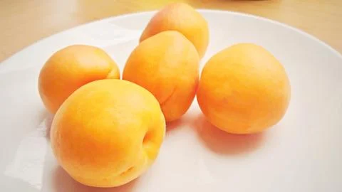 Apricots 库存照片