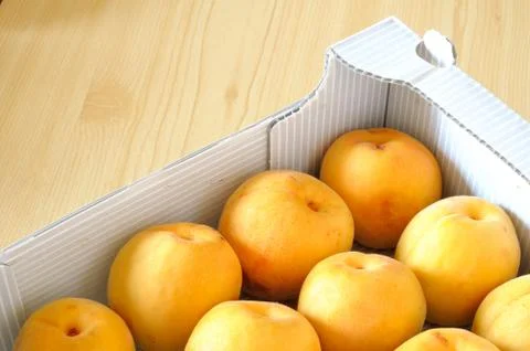 Apricots Stock Photos