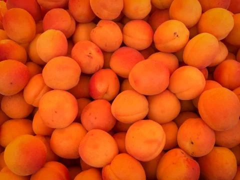 Apricots Stock Photos