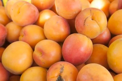 Apricots Stock-Fotos