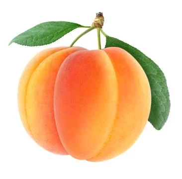 Apricots Foto stock