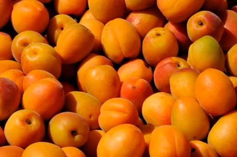 Apricots Stock Photos