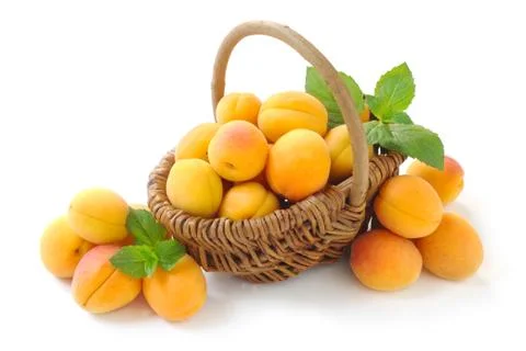 Apricots Stock Photos