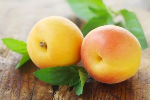 Apricots Stock Photos