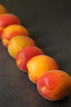 Apricots Foto stock