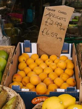 Apricots Stock Photos