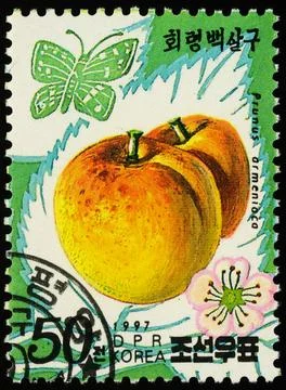 Apricots on postage stamp Stock Photos