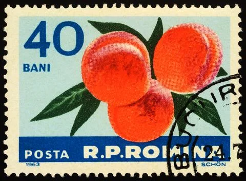 Apricots on postage stamp Stock Photos