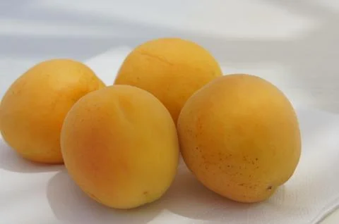 Apricots in a restaurant Foto stock