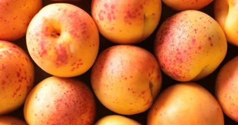 Apricots rotating, top view Stock Footage 91880891