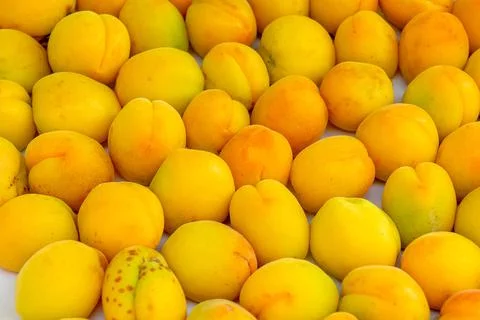 Apricots scattering on a light surface close-up Stock Photos