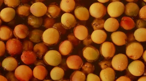 Apricots Sorting Process Stock Footage 7908273