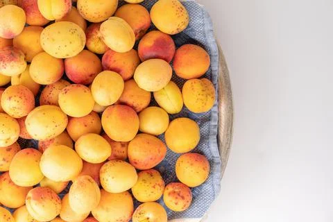 Apricots on a tray on a white background Stock Photos