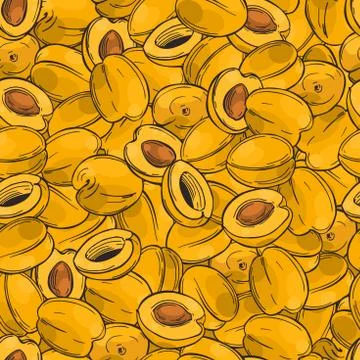 Apricots. Vector pattern. Stock Illustration