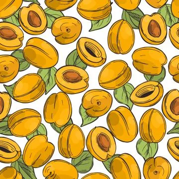 Apricots. Vector pattern. Stock Illustration