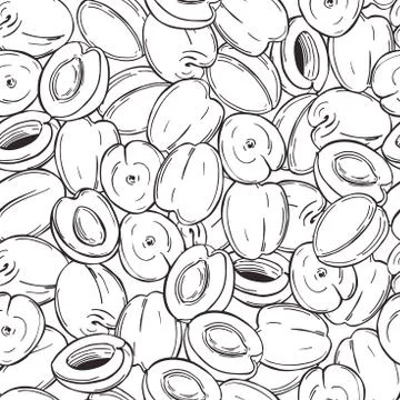 Apricots. Vector sketch  illustration. Stock Illustration