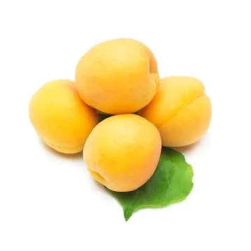 Apricots  on white background Stock Photos