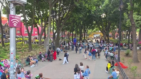 April 11, 2026, Dynamic pan of social life and vendors in Coyoacn Park Vídeo Stock 333419922