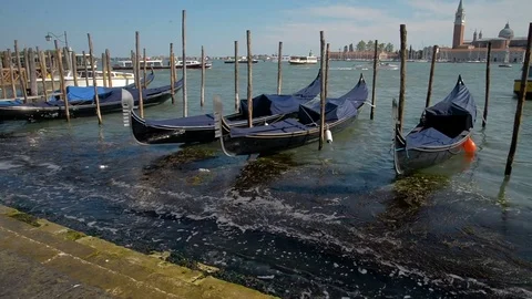 April 2017 - Gondolas and view to Chiesa di San Giorgio Maggiore Church of San Stock Footage 76839866