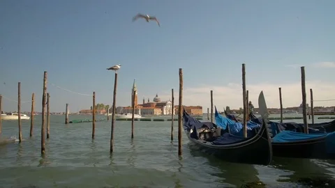 April 2017 - Gondolas and view to Chiesa di San Giorgio Maggiore Church of San Stock Footage 76843561