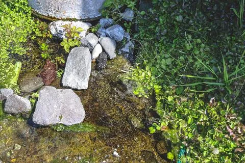 April 26 2026 Tiny Spring Stream And Stone Detail Stock Photos