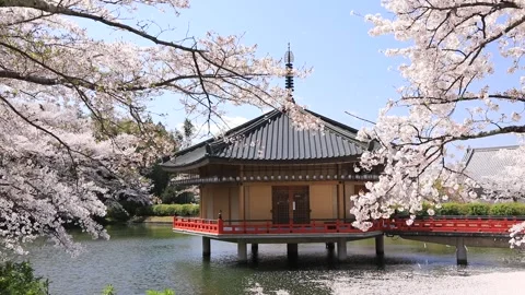 April: Abe Monju-in with Cherry Blossoms Vídeos de archivo 332864429