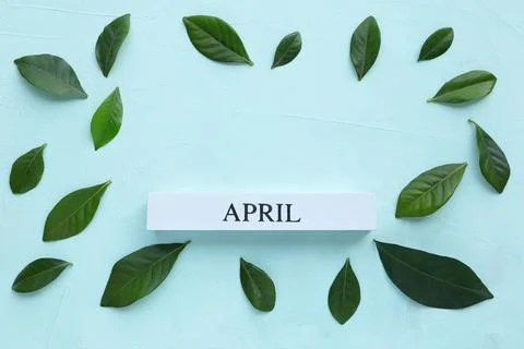 April month of spring. April text on white wood block and green leaf Stock Photos