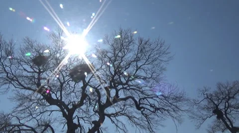 April, stork 스톡 동영상 49337544