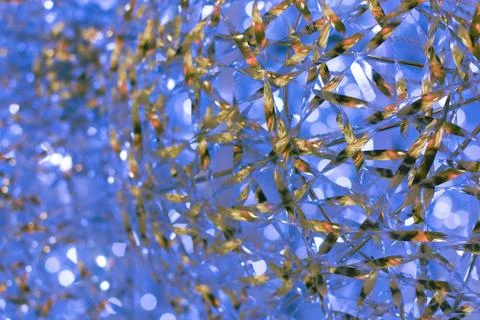 Aqua blue abstract background. Texture bokeh Stock Photos