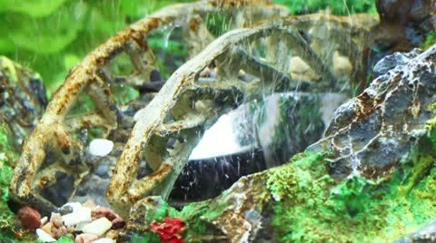 Aqua1 Видео 10459597