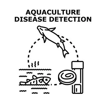 Aquaculture disease detection process with technology and fish health Stock Illustration
