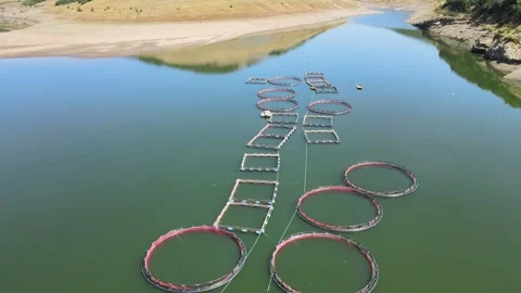 Aquaculture fish farm Stock Footage 240761371