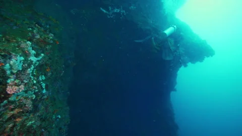 Aquaman uses abilities to explore admiring Philippine oceanic world Stock Footage 305958946