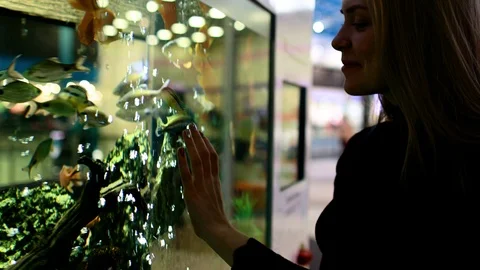 Aquarium air bubbles 動画素材 89025195