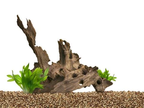 Aquarium background Stock Photos
