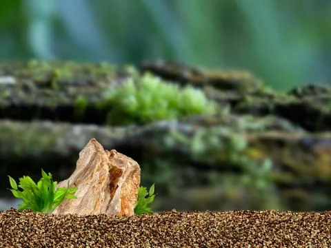 Aquarium background Foto stock