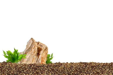 Aquarium background Stock Photos