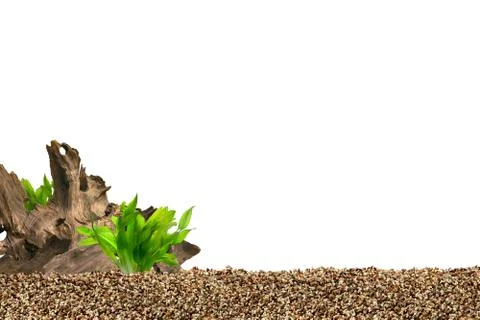Aquarium background Stock Photos