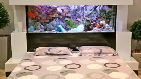 Aquarium in a bedroom Stock Footage 24671273